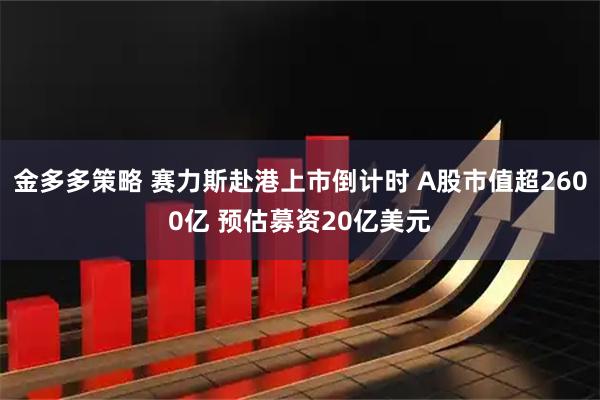 金多多策略 赛力斯赴港上市倒计时 A股市值超2600亿 预估募资20亿美元