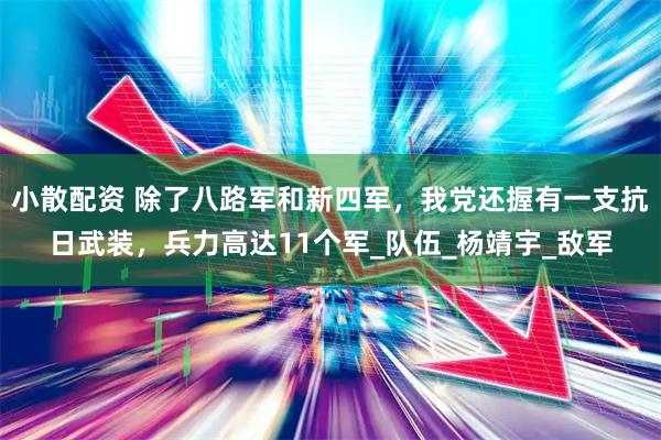 小散配资 除了八路军和新四军,我党还握有一支抗日武装,兵力高达11个军_队伍_杨靖宇_敌军