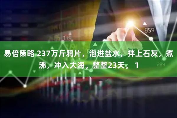 易倍策略 237万斤鸦片，泡进盐水，拌上石灰，煮沸，冲入大海。整整23天。 1